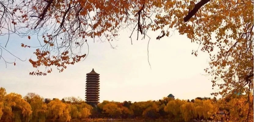 22年政治学考图3.jpg